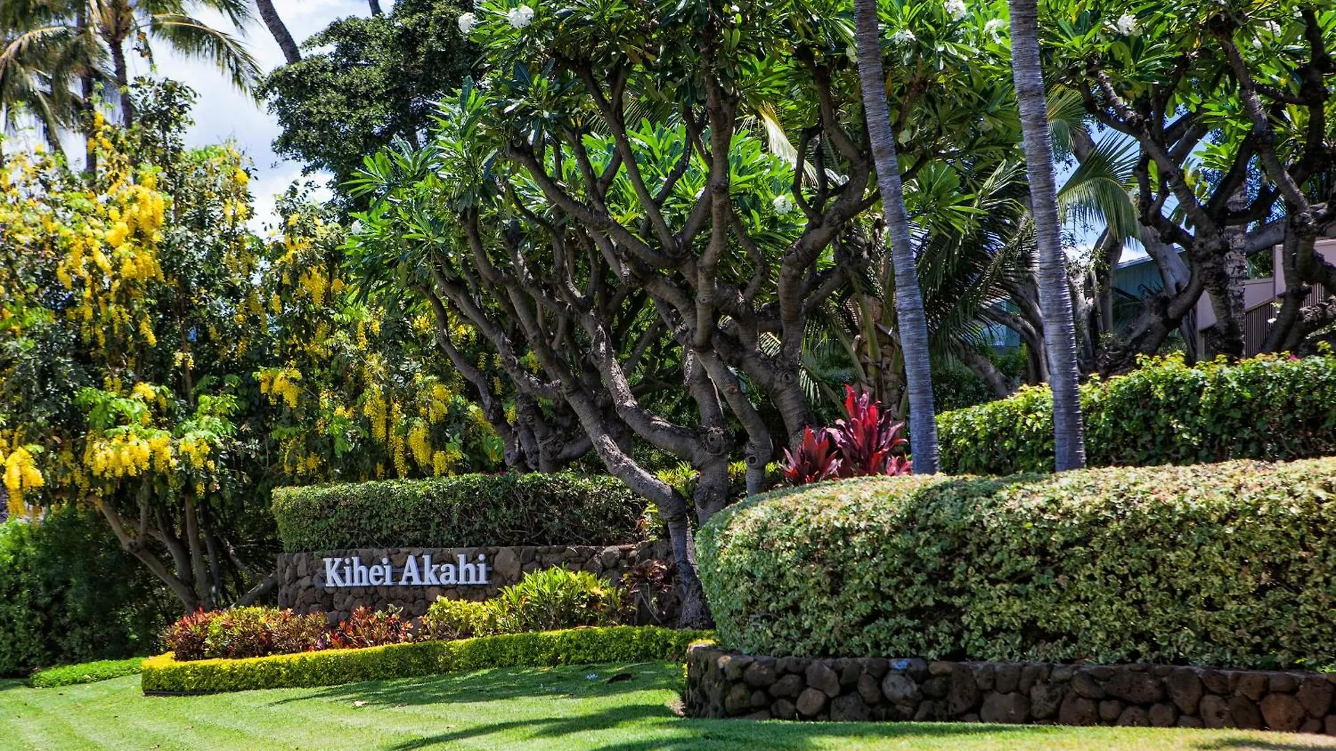 Дом отдыха Вилла Kihei Akahi D608 - Mch США